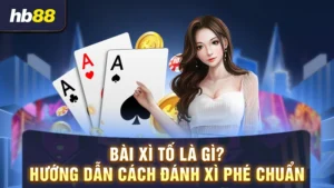 bài xì tố