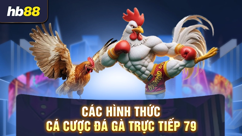 Đá Gà 79 Net 2 Các hình thức cá cược đá gà trực tiếp 79