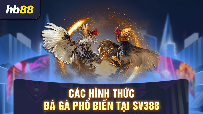 Các hình thức đá gà phổ biến tại SV388