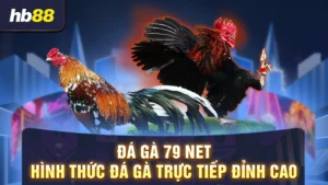 đá gà 79 net