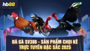 đá gà sv388