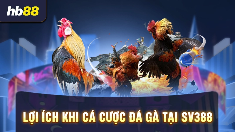 Lợi ích khi cá cược đá gà tại SV388