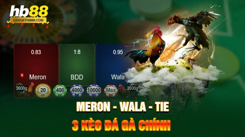 Meron - Wala - Tie - 3 kèo đá gà chính