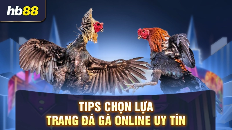 Tips chọn lựa trang đá gà online uy tín