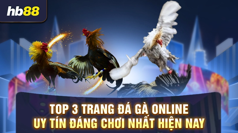 Top 3 trang đá gà online uy tín đáng chơi nhất hiện nay