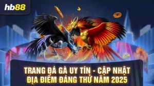 trang đá gà uy tín