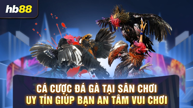 Cá cược đá gà tại sân chơi uy tín giúp bạn an tâm vui chơi